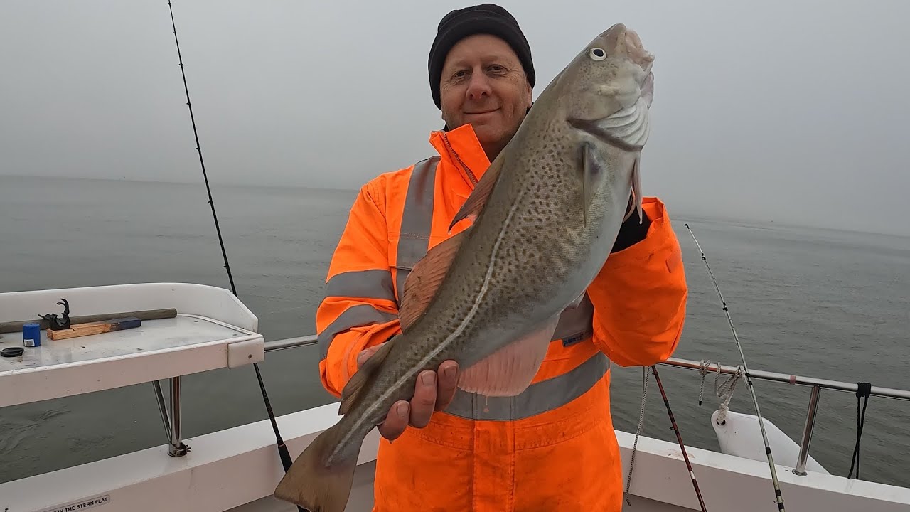 Post Christmas Cod and Haddock in the Humber