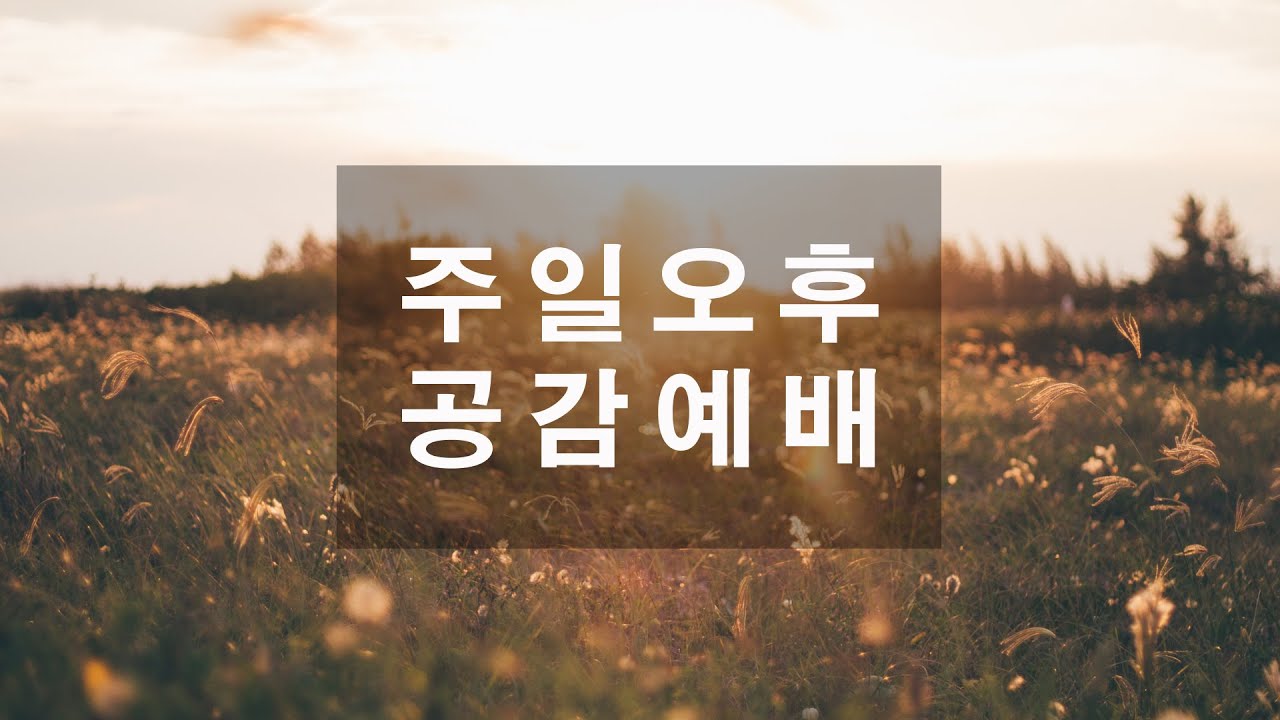 2026년  2월 8일(주일) -주일오후공감예배(선교부헌신)