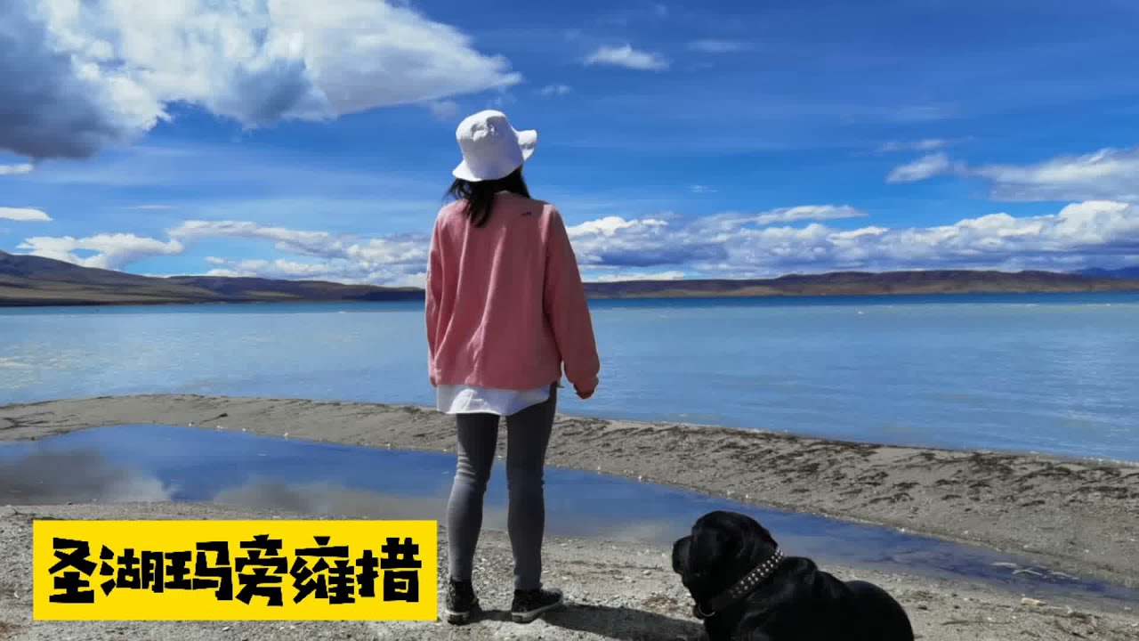 Vanlife房車自駕遊西藏，發現大群的藏野驢，大群的藏野驴，西藏聖湖瑪旁雍錯太美了Tibet’s holy lake,A large group of Tibetan wild donkeys