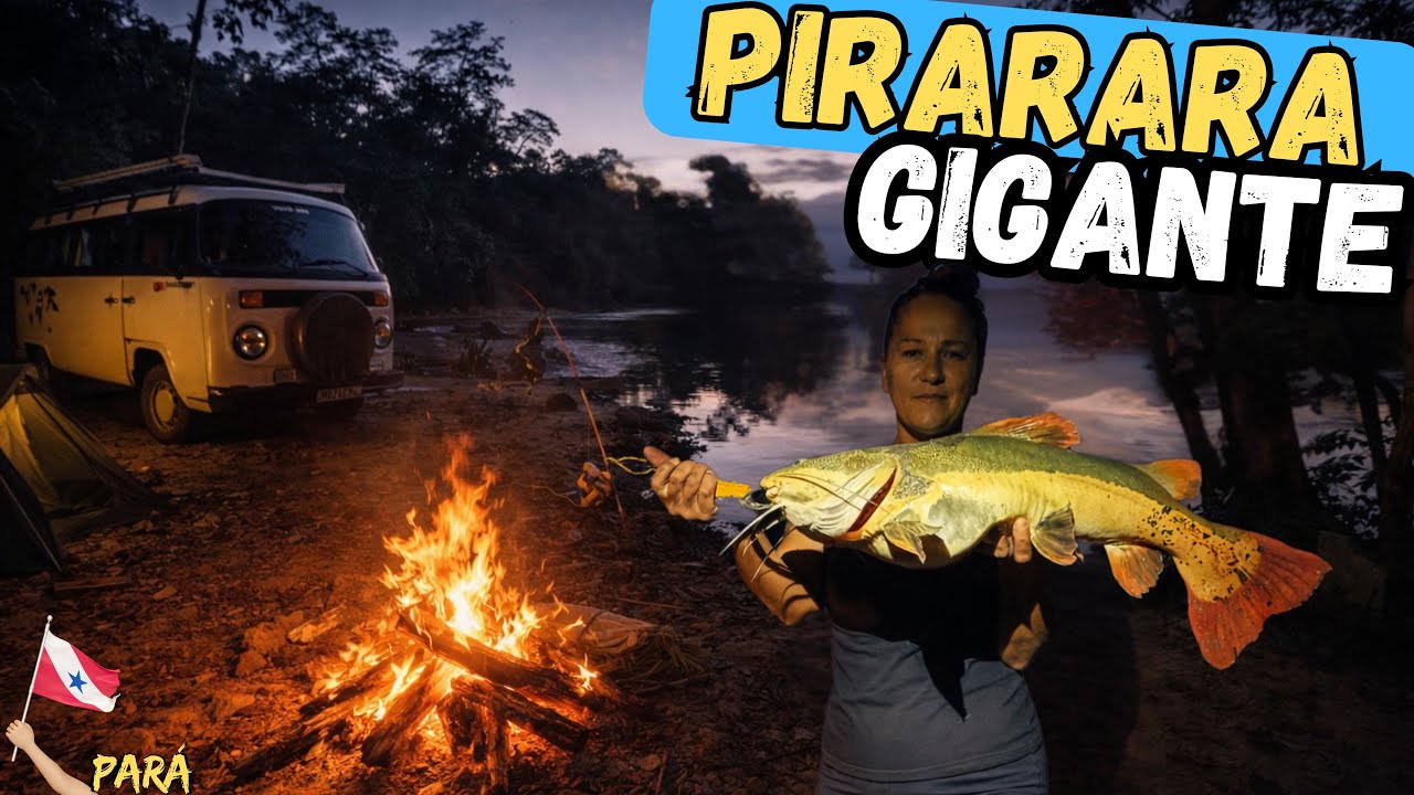 A noite parecia tranquila… até que algo inesperado aconteceu.