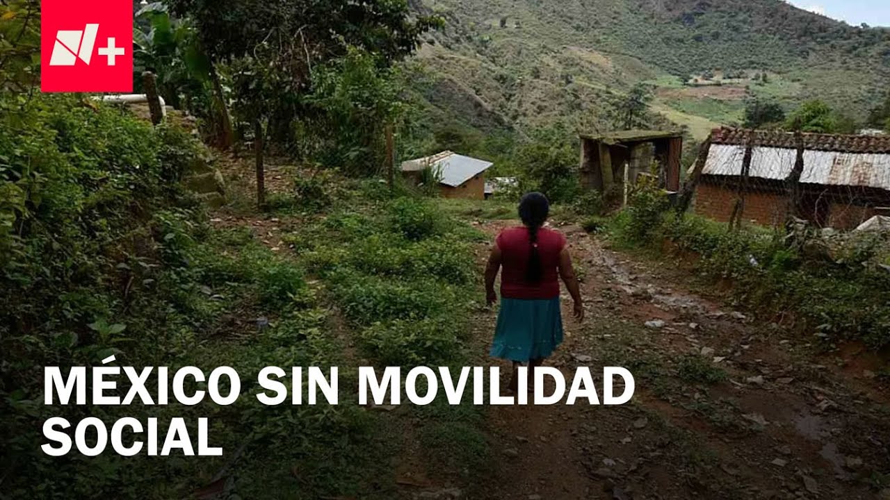 Informe de movilidad social en México 2025: Desigualdad de oportunidades - Despierta