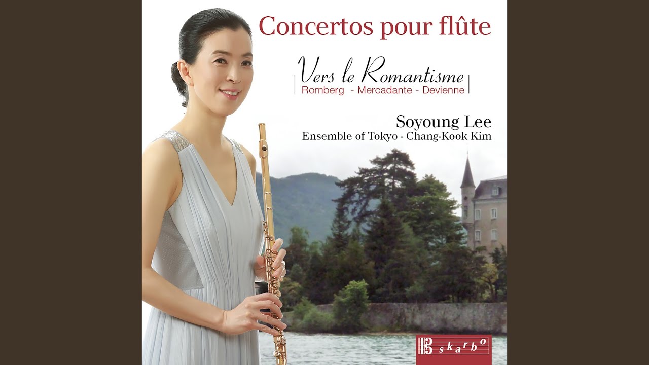Flute Concerto in B Minor, Op. 17 (Op. 30) : I. Allegro maestoso