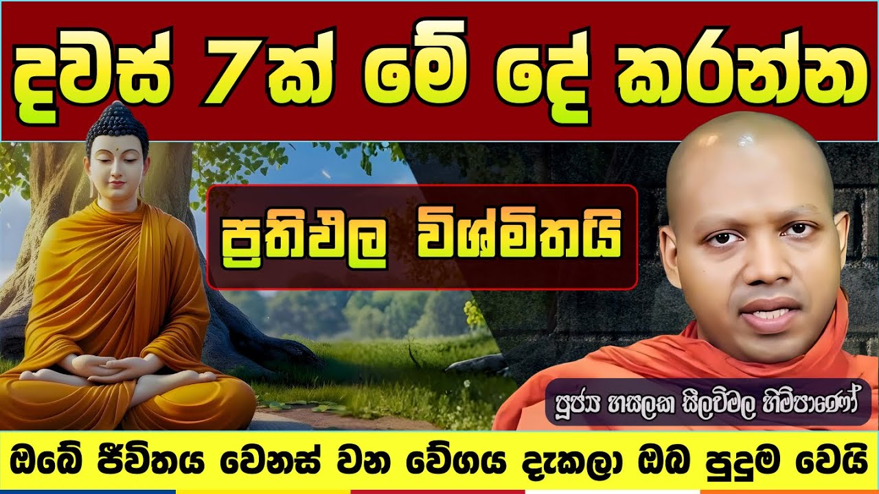 පොත් වල නැති ජීවිතයෙන්ම සොයාගත් කමටහන | හසලක සීලවිමල හිමි