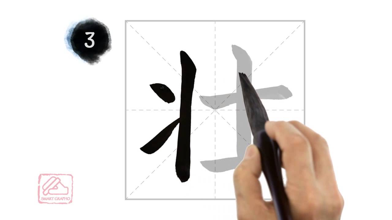 壮 [zhu&agrave;ng] strong