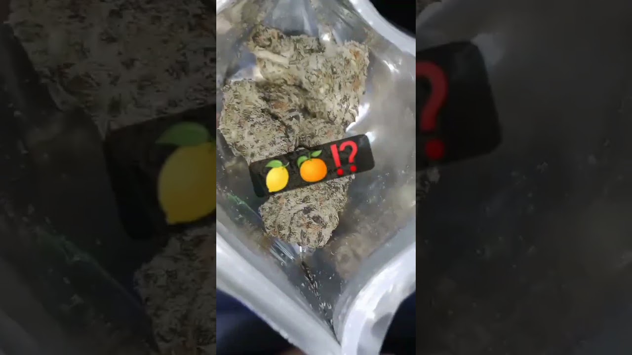 Puff or Pass Presents: Red Eye cannabis co - Pure Michigan 60 second review