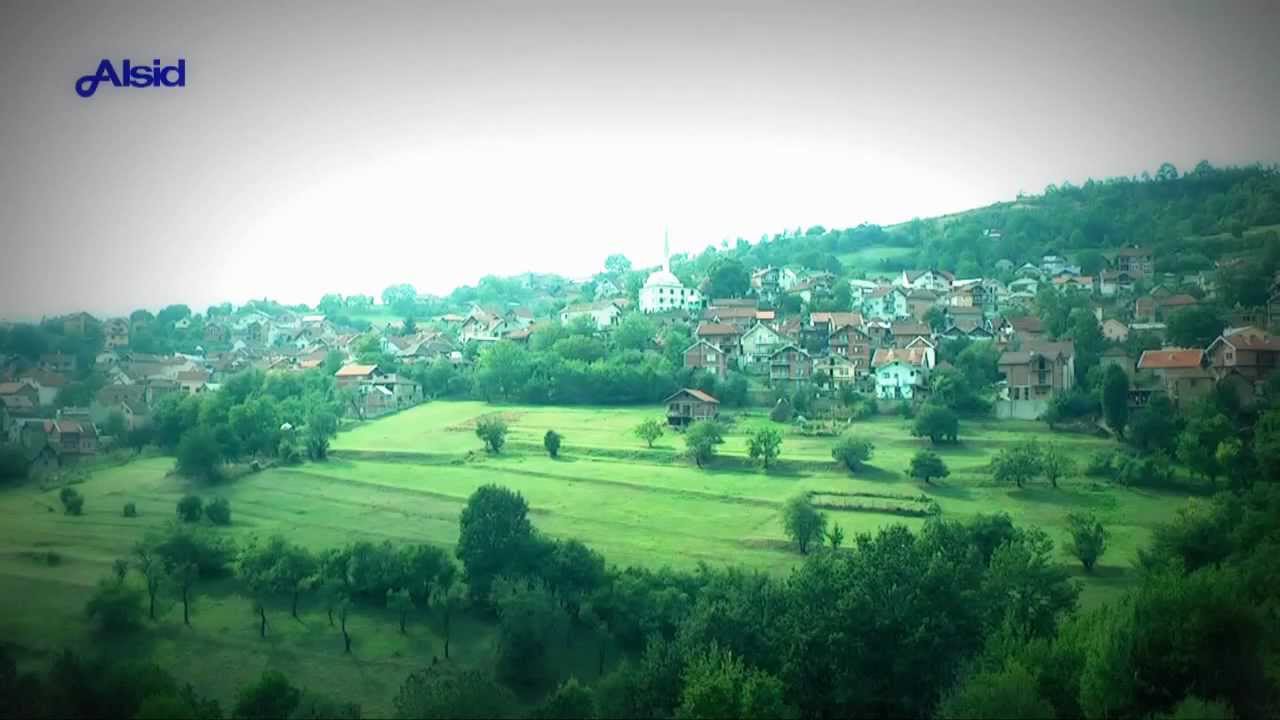 SELO PLANJANE 2010