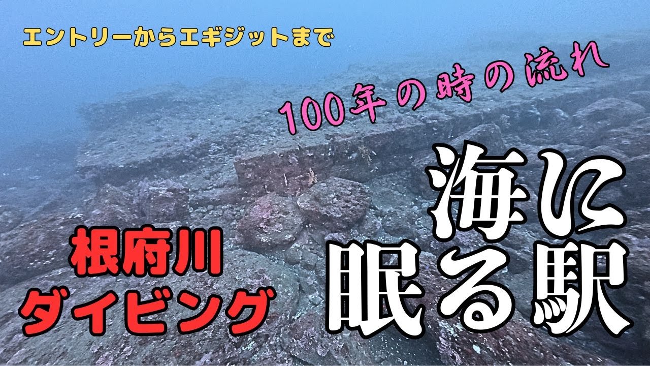 ＜海に眠る駅＞根府川でダイビングしてきた＜震災遺構＞