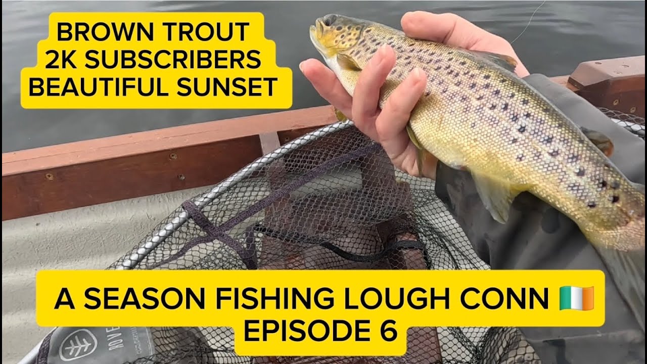 Lough Conn Brown trout/ 2K subscribers/ Beautiful sunset #flyfishing