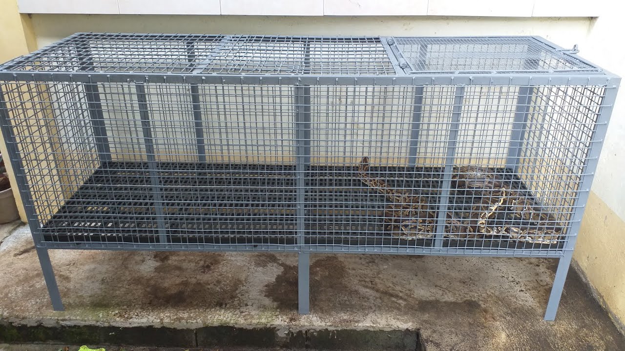 Napakatibay na kulungan ng alagang sawa #diyproject #cage #sawa #python