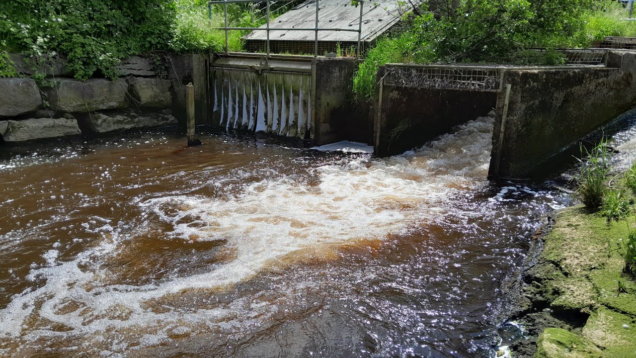 Ruswarp Fish Pass River Esk (Yorkshire)