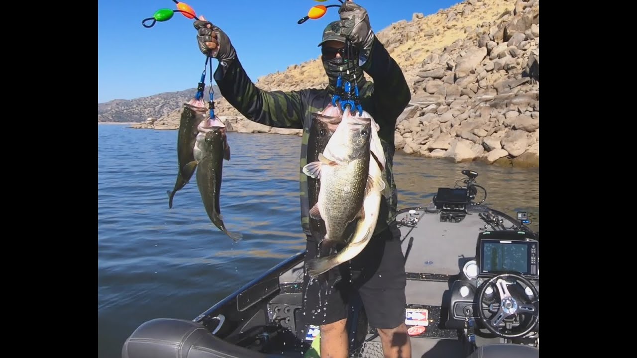 1st Place! ABA Summer bass tournament | GGAMBIT #tournamentfishing #bassfishing #1stplace