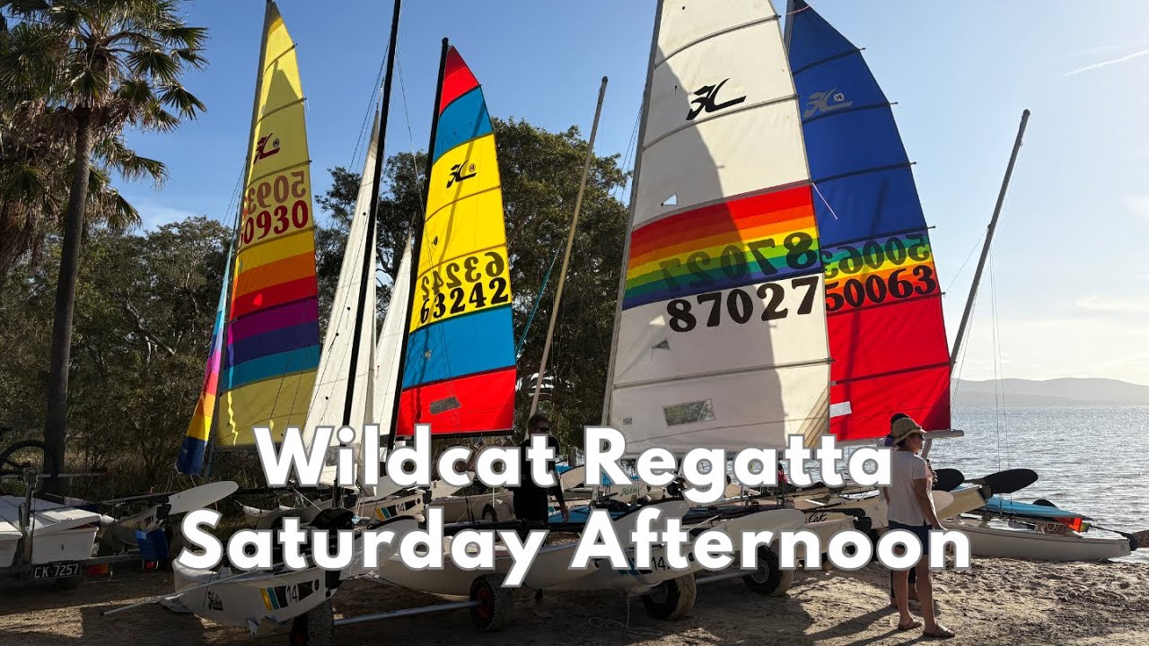 Wildcat Regatta Post-Race Interviews: Saturday Afternoon | Great Lakes Sailing Club