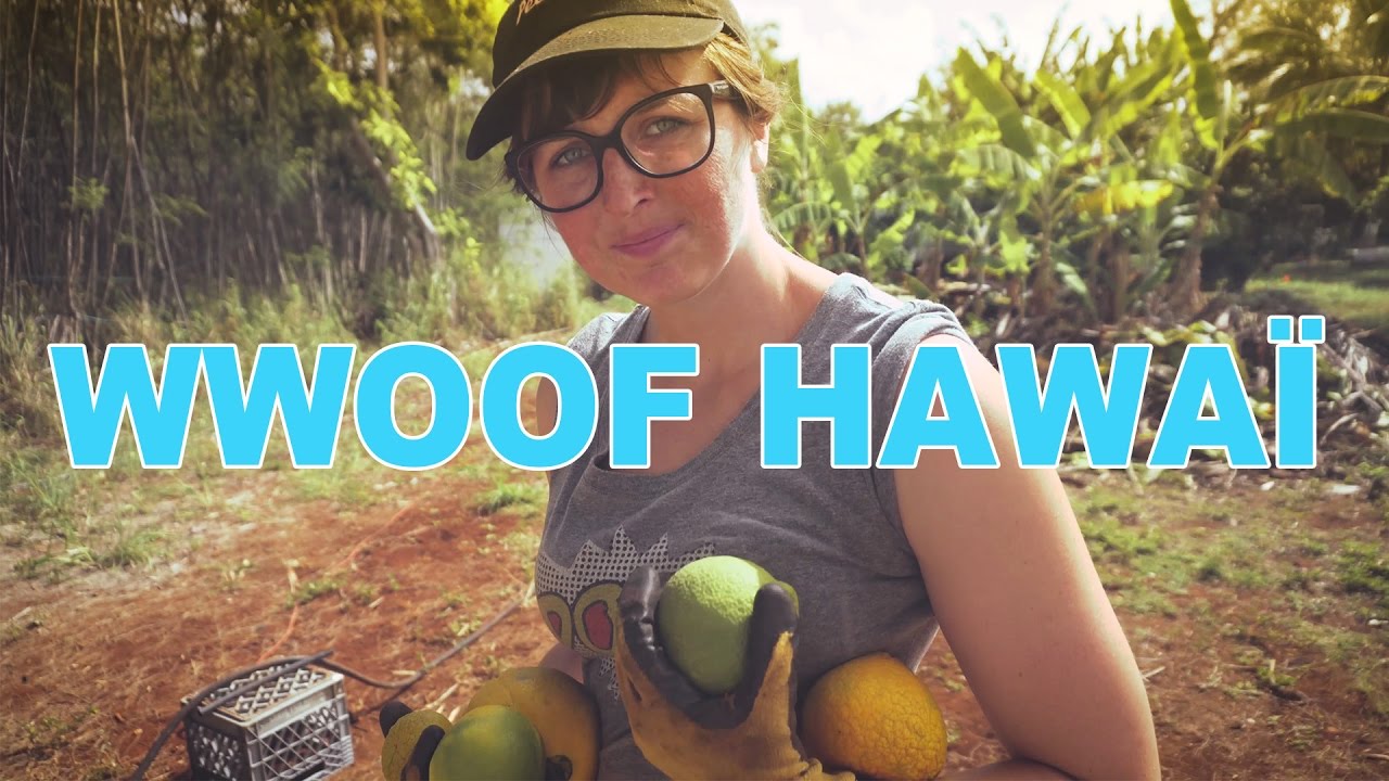 JOURNEE TYPE A HAWAÏ - WWOOFING