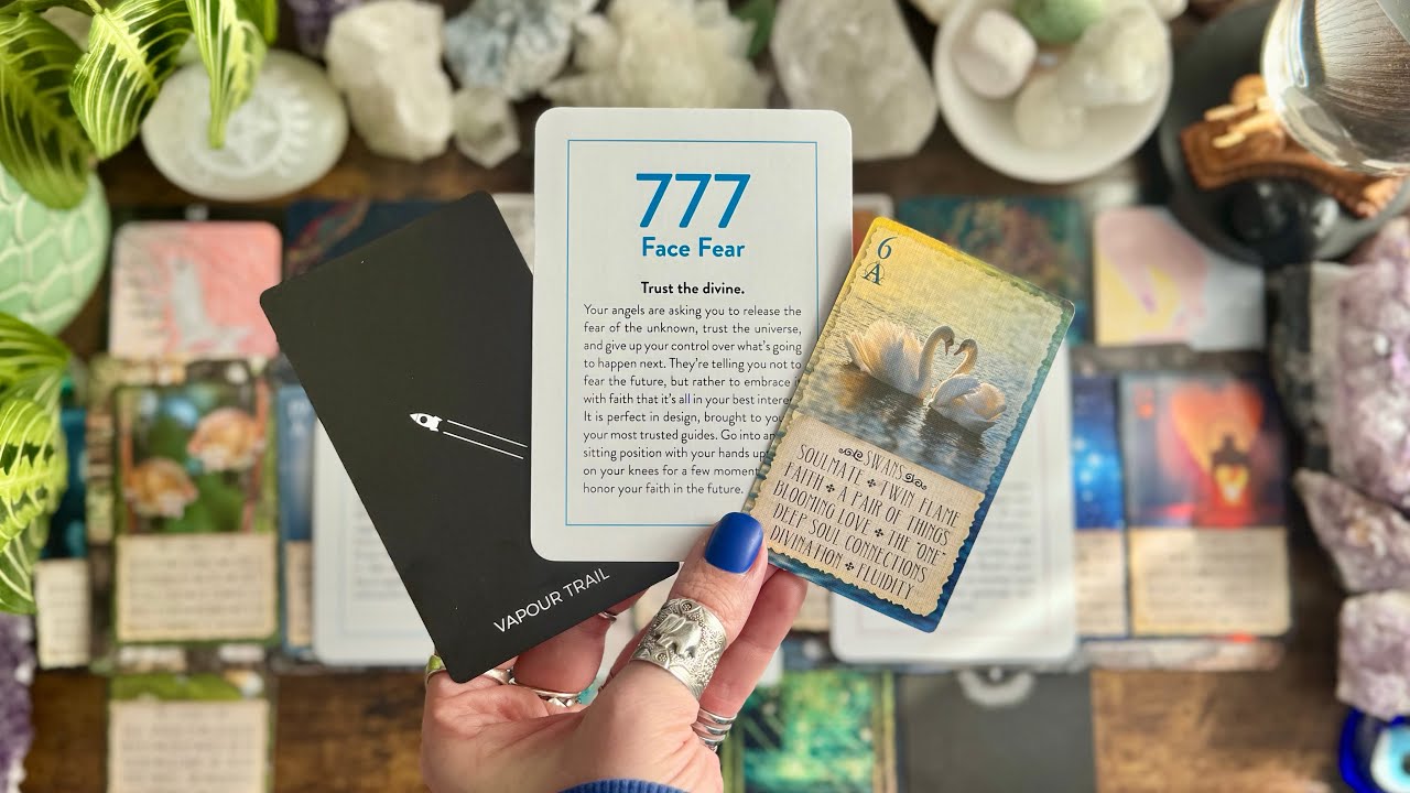 How you think they are doing/feeling vs how they are actually doing/feeling! 🦢Timeless LOVE Reading🦢
