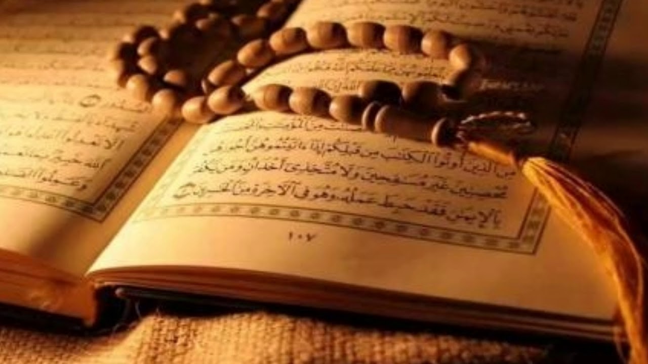 الاستاذ : عباس فطاني