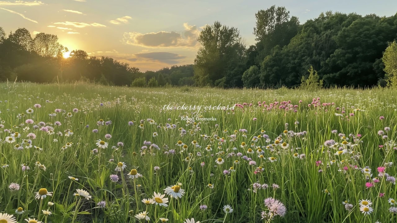 another quiet afternoon 🌱✨ (playlist)