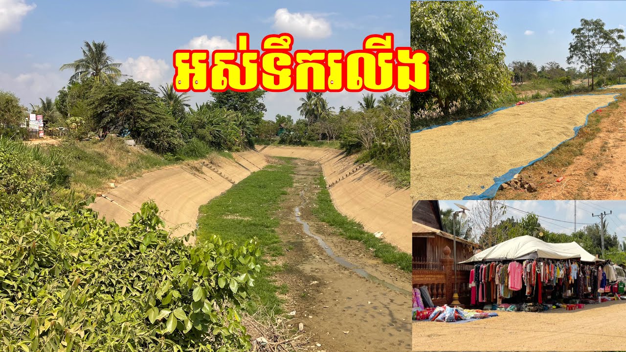 ពីខ្ពបទៅអូរកំបុត តាមប្រឡាយគោគ អស់ទឹករលីង គ្មានទឹកស្រោចដំណាំ