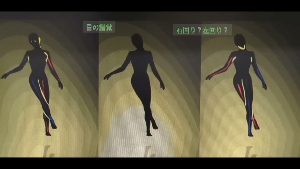 目の錯覚　右回り？左回り？　補助線入り