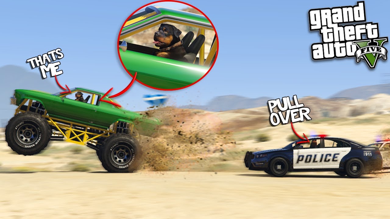 The LIFE as Franklins DOG (GTA 5 Mods)