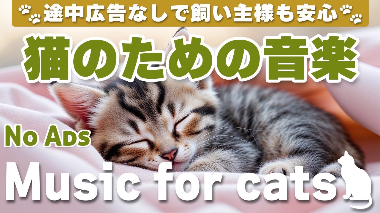 猫が落ち着く音楽｜留守番中も安心できるBGM（12時間・途中広告なし）Relaxing Music for Cats | No Ads | 12 Hours _vol.333
