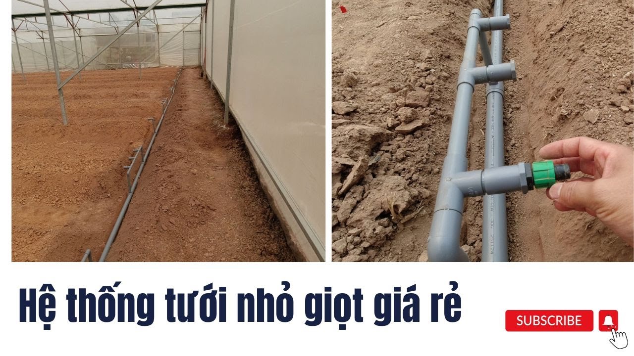 Hệ thống tưới nhỏ giọt giá rẻ.