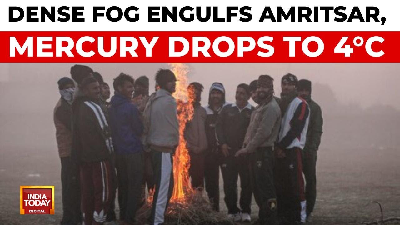 Amritsar Shivers at 4 Degrees as Dense Fog Hits Punjab | Cold Wave Hits Punjab