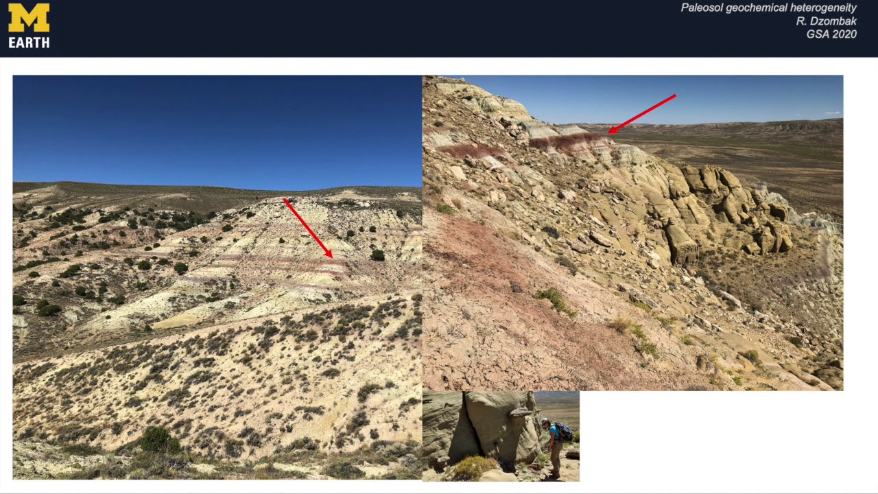 Lateral heterogeneity in paleosols and implications for proxy use