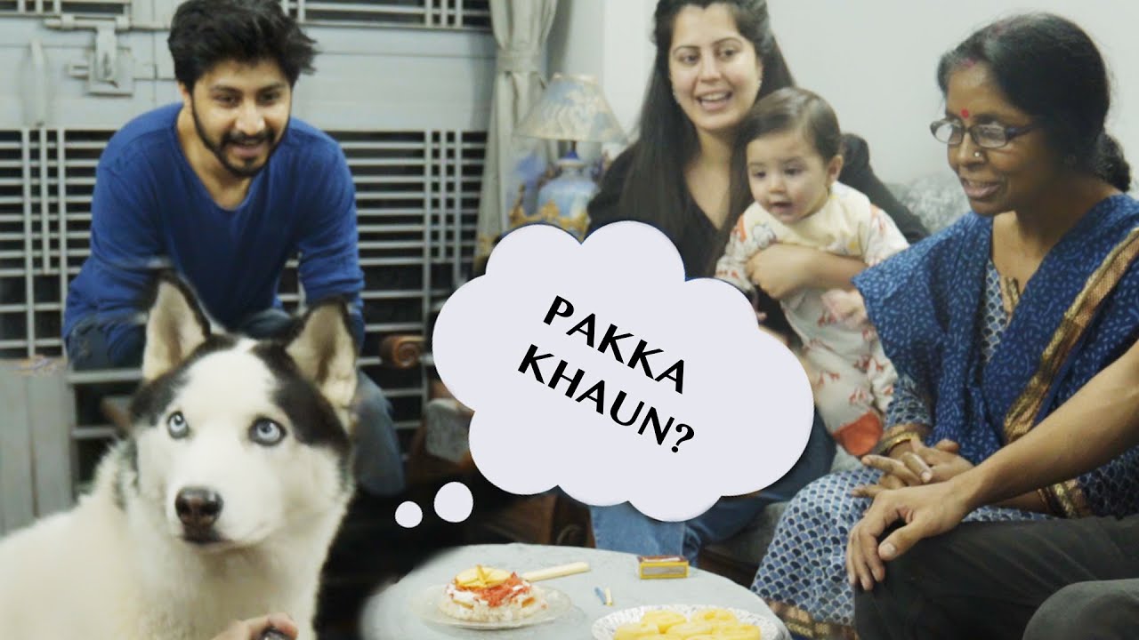 Aditya H Vlogs | Winter Birthday Special | Cake Cutting | Part 2