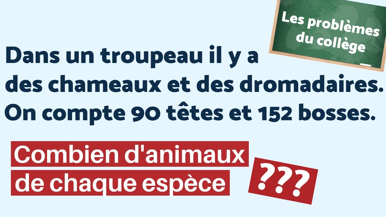 LES PROBLÈMES DU COLLÈGE #4 : Les chameaux 🐪 🐫