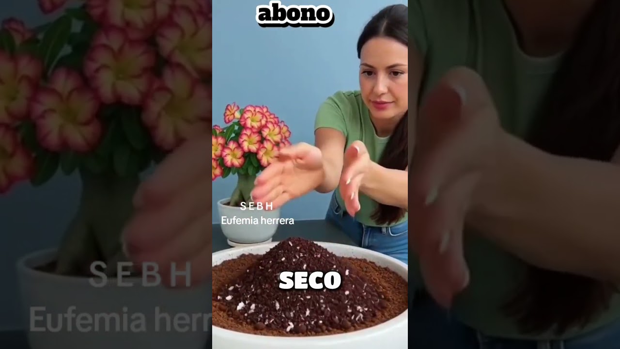 ✨ #abono  casero poderoso con #cafe  y #cascara #de #huevo para tus #plantas