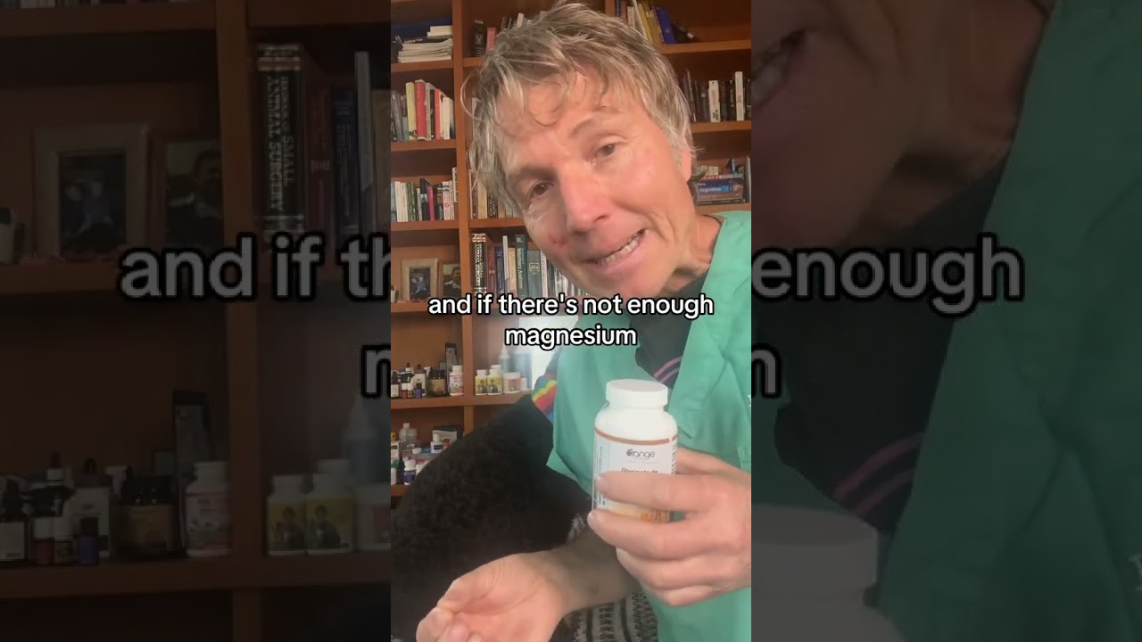 Dog or Cat with seizures? Try this simple OTC remedy!