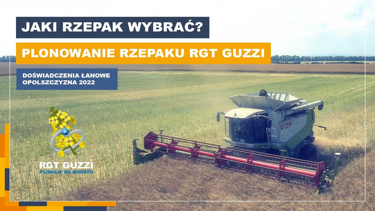 🌱Jaki rzepak wybrać? | Zbi&oacute;r rzepaku 2022 | Odmiana mieszańcowa RGT GUZZI | Top Nasiona