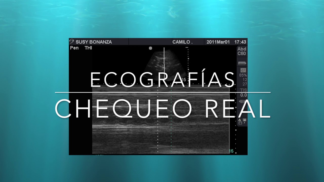 Ecografia en bovinos VLOG # 13
