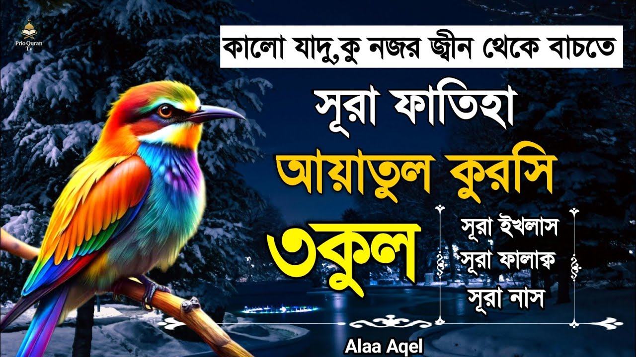 সূরা ফাতিহা আয়াতুল কুরসি ৩কুল | Surah Fatiha Ayatul kursi 3qul | By Alaa Aqel 