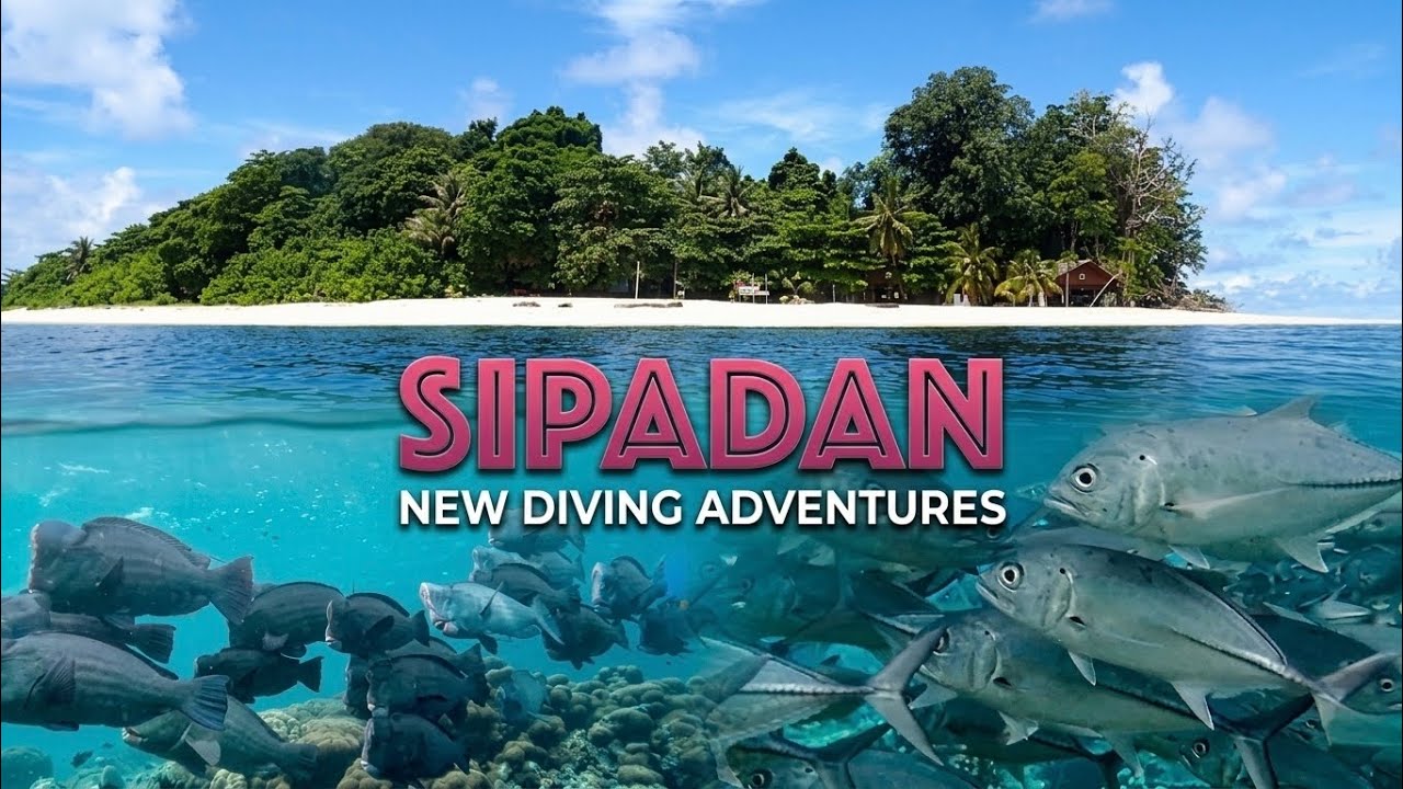 Diving Malaysia - Sipadan with Scuba Junkie
