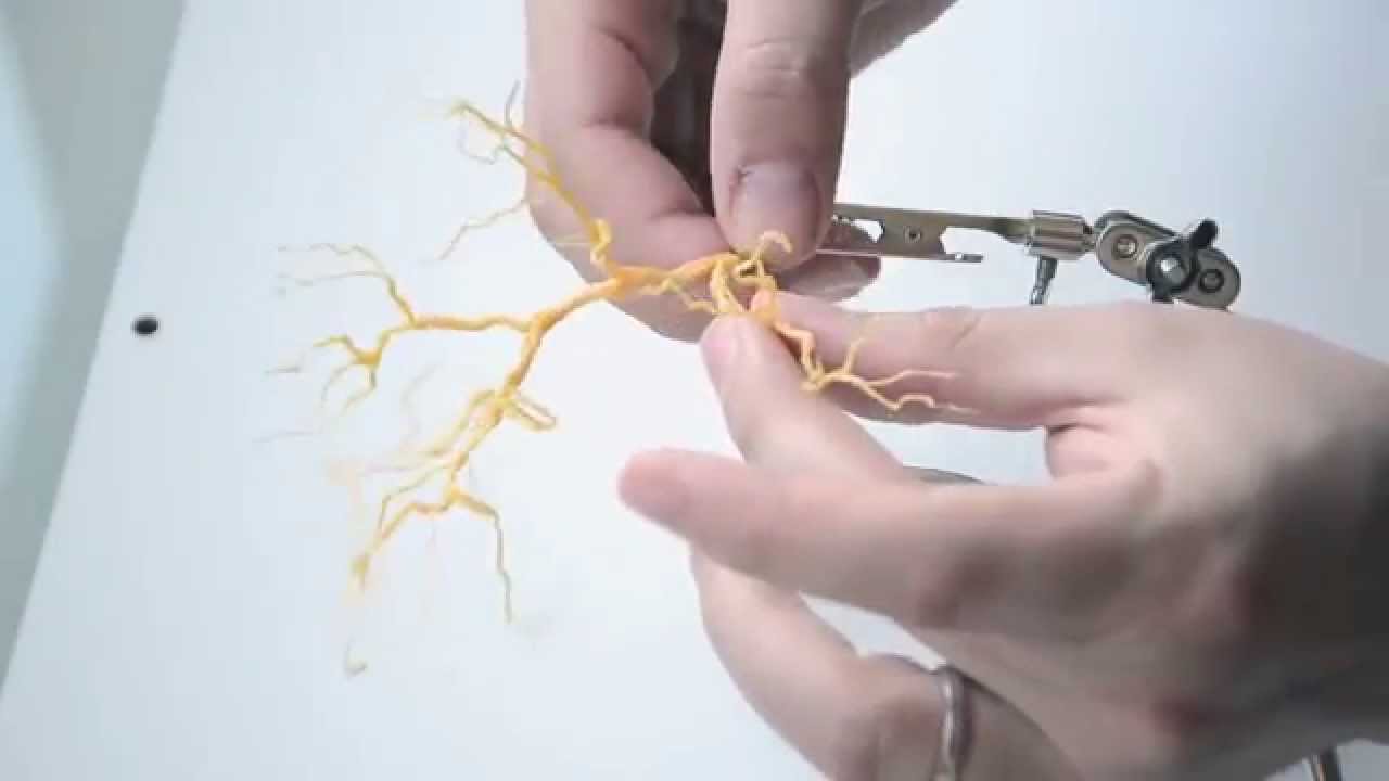 Making trees using a 3d pen