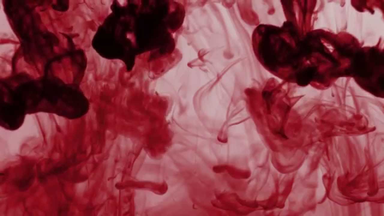 Our Oceans - Let Me