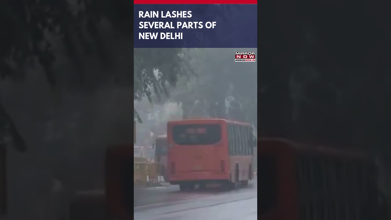 New Delhi: Several Parts Of The National Capital Receive Rain During Winter&nbsp;|&nbsp;Watch&nbsp;#shorts