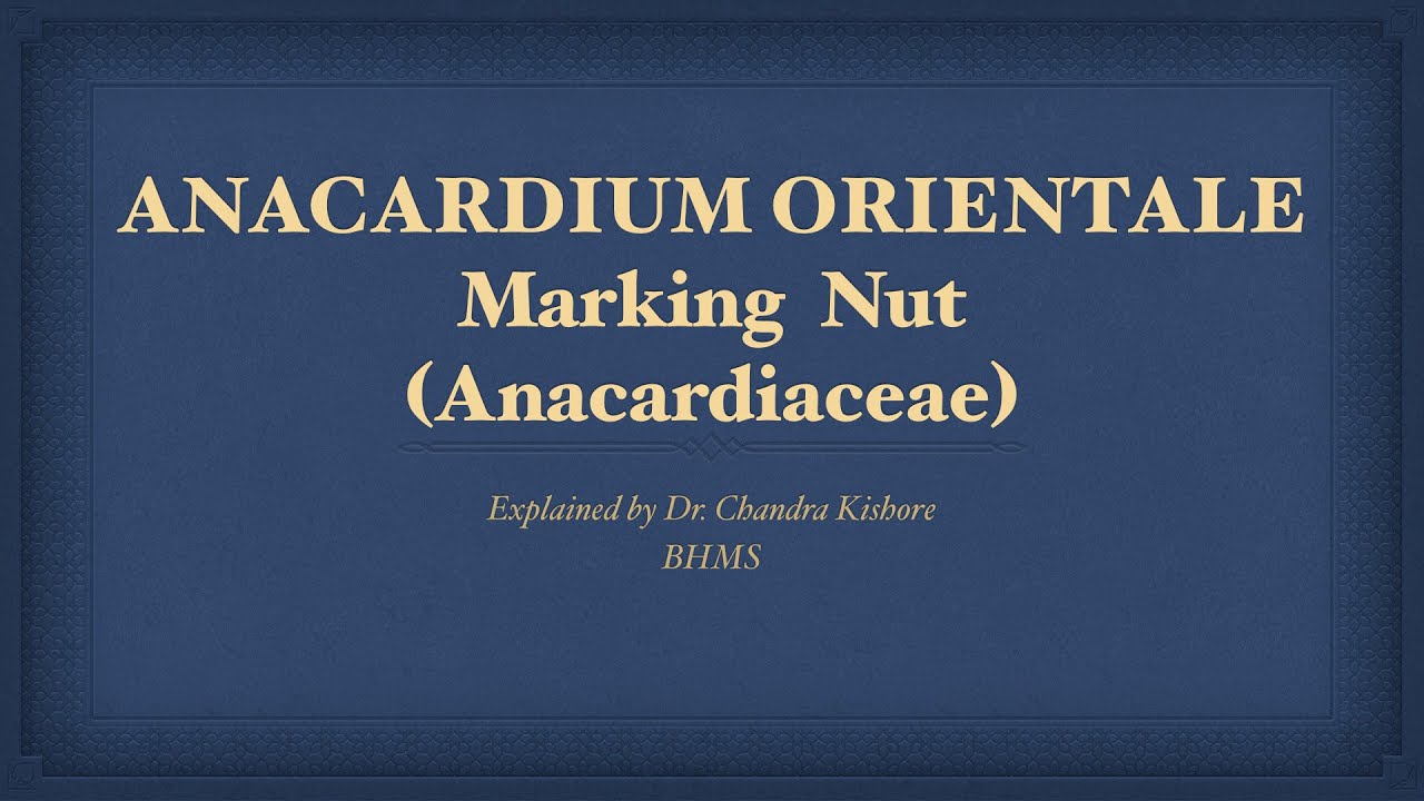 Anacardium Orientale || Allen’s Keynotes || Well Explained