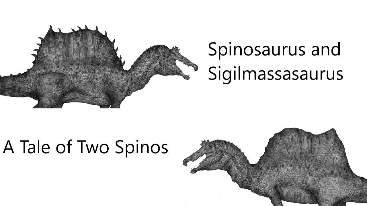 Spinosaurus and Sigilmassasaurus: A Tale of Two Spinos | Creature Profile