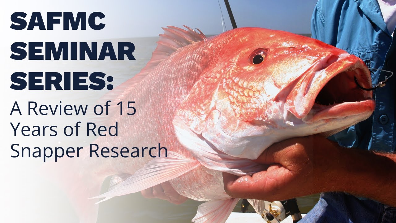 SAFMC Seminar Series: 15 years of research to inform the management of South Atlantic Red Snapper