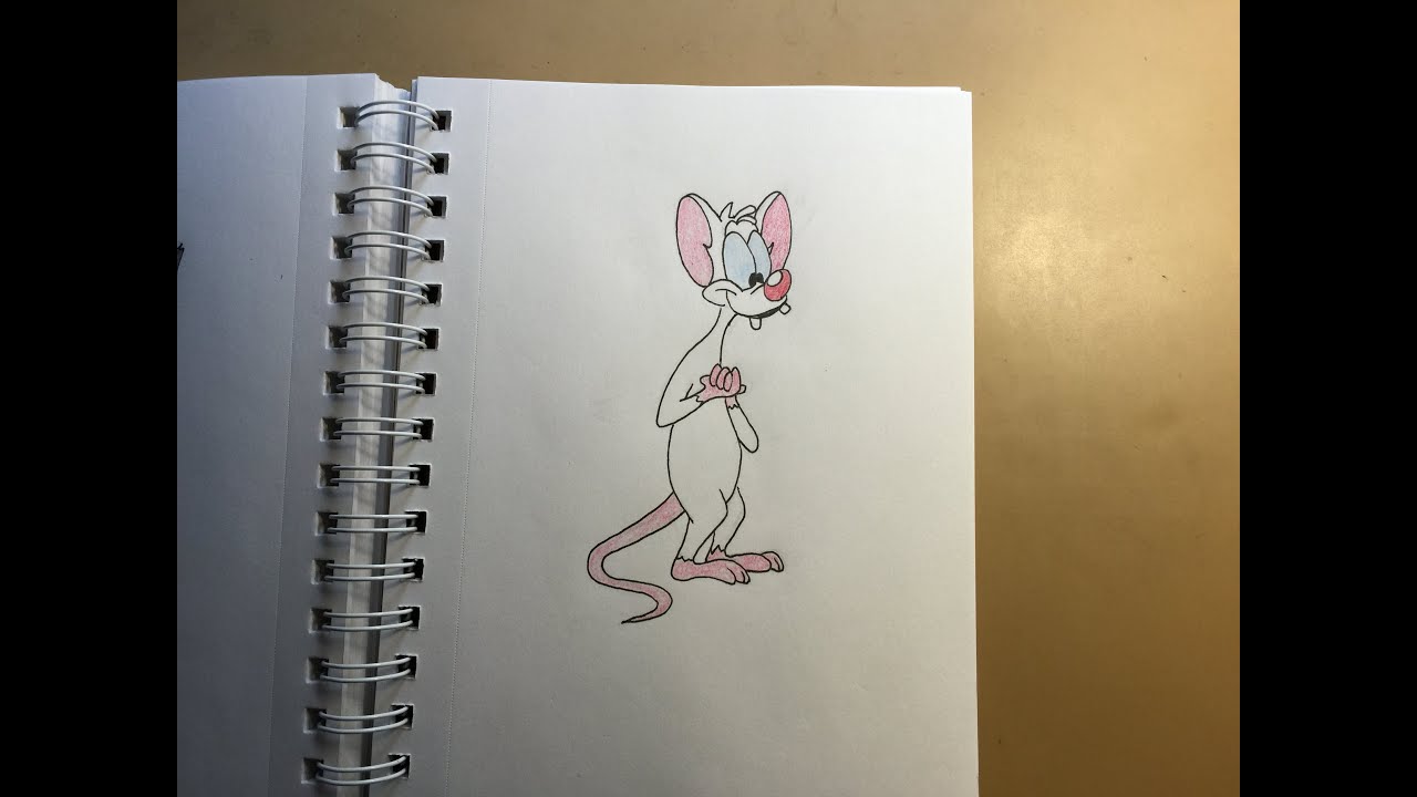 475 - How to Draw Pinky from Pinky and the Brain