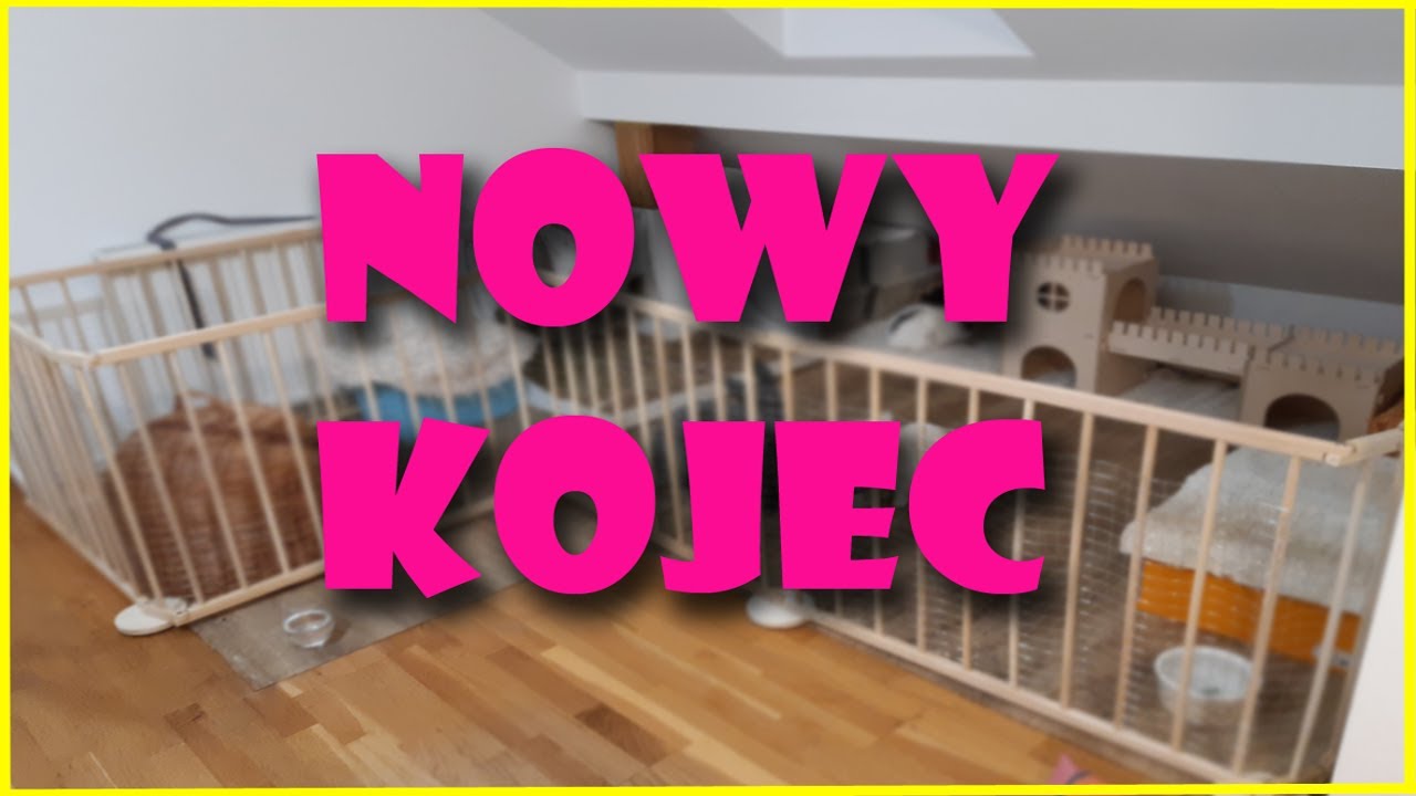 ⭐️NOWY KOJEC dla królików⭐️