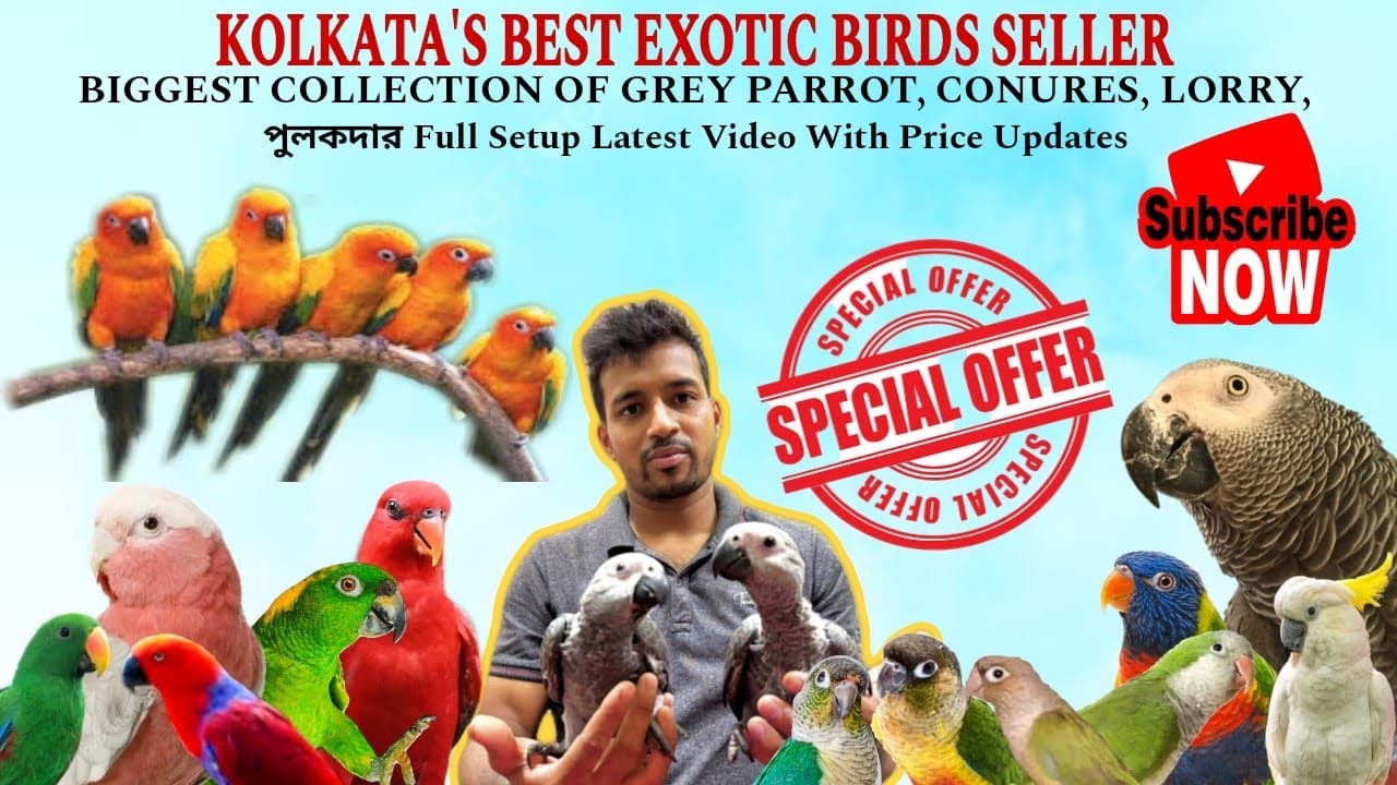 Biggest Exotic Birds seller in Kolkata || পুলকদার Full Exotic Birds Farm Latest updates