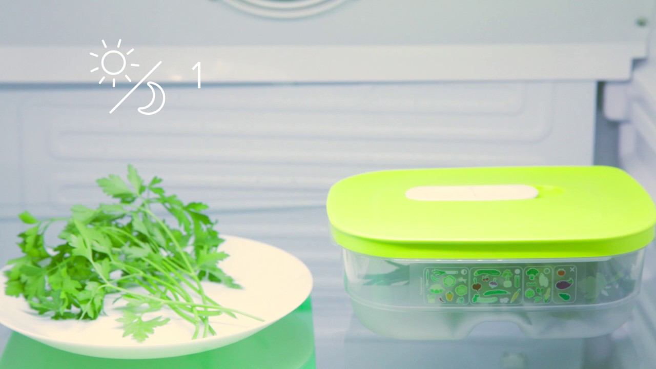 Tupperware - How to keep my parsley fresher?