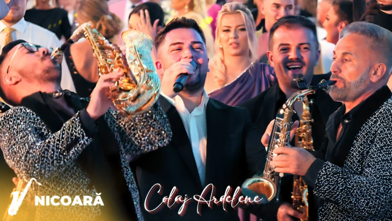 Fane Bănățeanu & Armin Nicoară și Petrică Nicoară ✗ Nuntă Lugoj || Colaj Ardelene
