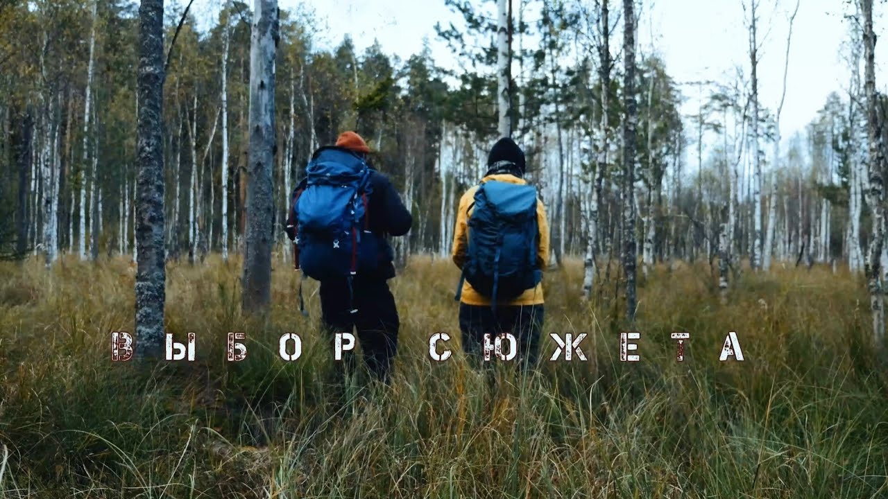 Находить отличия в похожем.