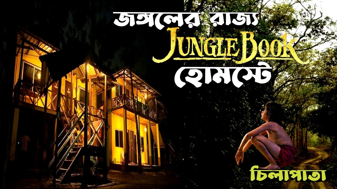 Dooars | Chilapata Jungle Book Homestay | Menda Bari Jungle Camp | Chilapata Forest | Dooars Tour