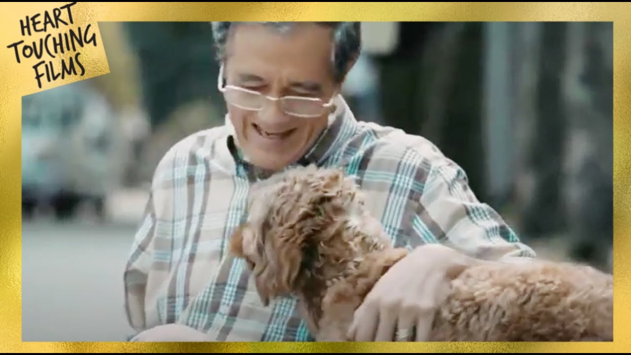The Missing Dog | Heart Touching Films
