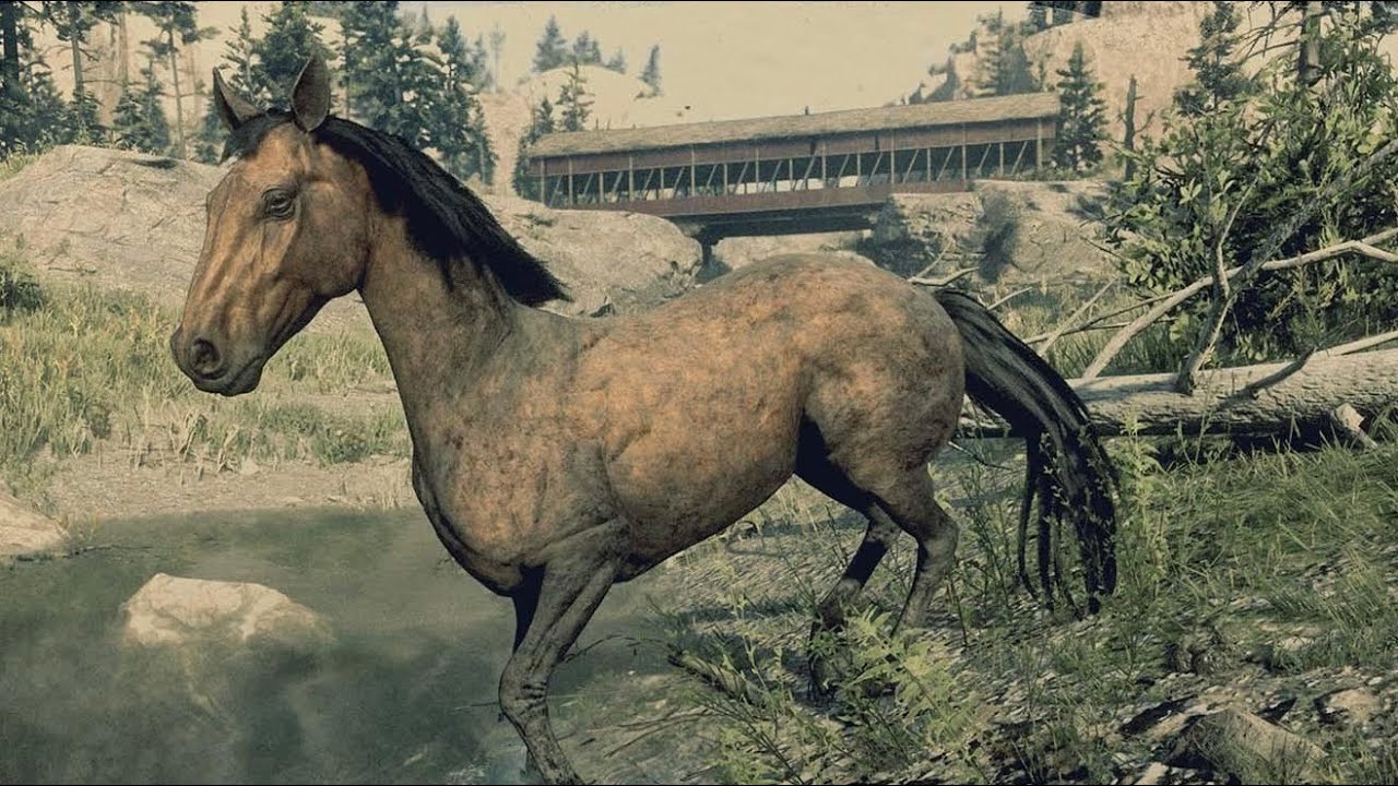Red Dead Redemption 2: Every Horse - Dapple Bay Tennessee Walker